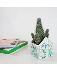 Κασπό Boulevard Greenhouse Κασπό Boulevard Greenhouse