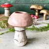 Forage Mushroom Vase Forage mushroom vase by the House of Disaster