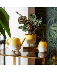 Κασπό Mojave Glaze yellow large Κασπό Mojave Glaze yellow large