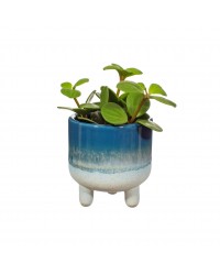 Κασπό Mojave Glaze blue mini Κασπό Mojave Glaze blue mini