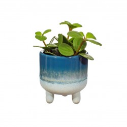 Κασπό Mojave Glaze blue mini