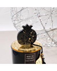 Lucky Scented Candle Lucky scented candle 2026 with plexiglass cover, pomegranate and silk tassel