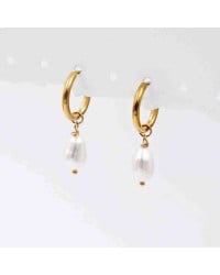Hoop earrings with fresh water pearl Hoop earrings made of stainless steel and fresh water pearls
