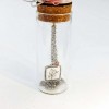Short silver-plated necklace with rose in a glass tube