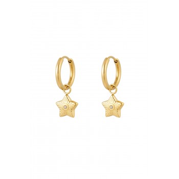 Inox Earrings Zircon Star