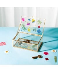 Pressed Flowers Glass Jewellery Box Pressed Flowers Glass Jewellery Box