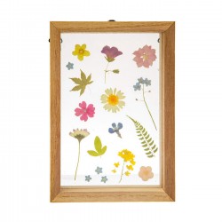Κορνίζα Pressed Flowers Floating