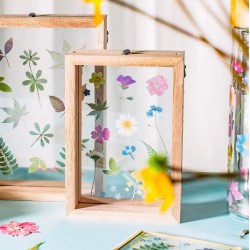 Κορνίζα Pressed Flowers Floating