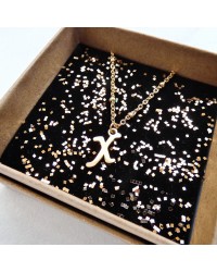 What's your Name- Stainless Steel Initial "Χ" Necklace