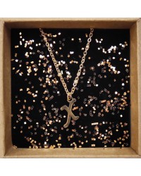 What's your Name- Stainless Steel Initial "Χ" Necklace