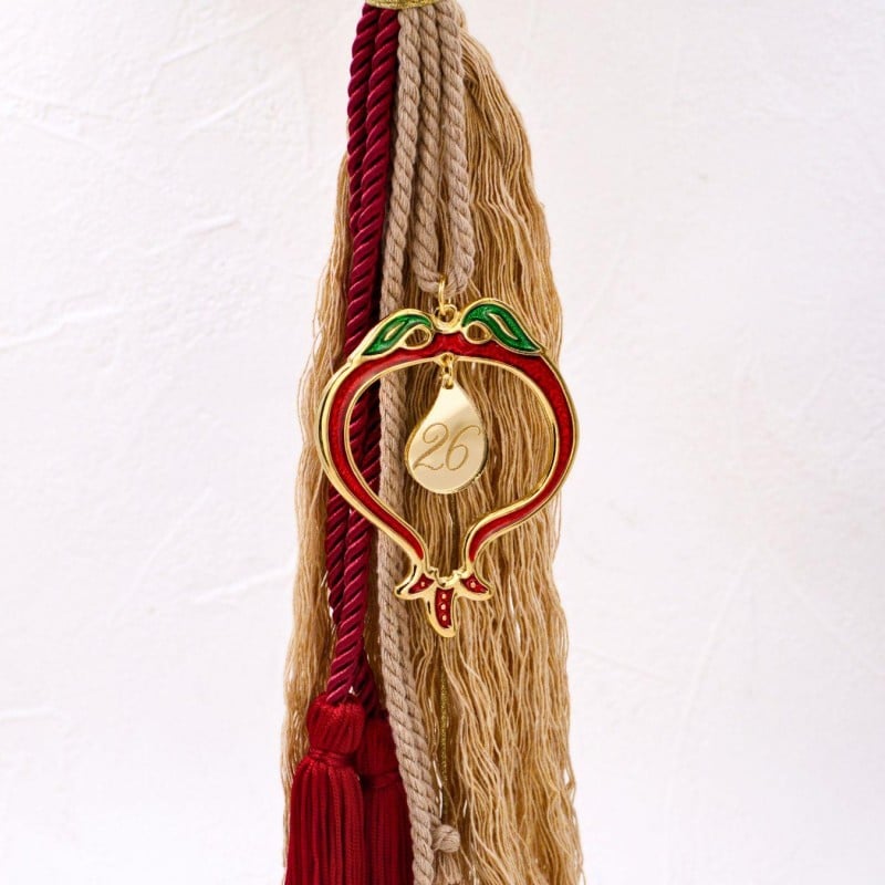 Χειροποίητο Γούρι 2026 - Χριστουγεννιάτικο Ρόδι από Σμάλτο Χειροποίητο Γούρι 2026 με Χριστουγεννιάτικο Επίχρυσο Ρόδι από σμάλτο