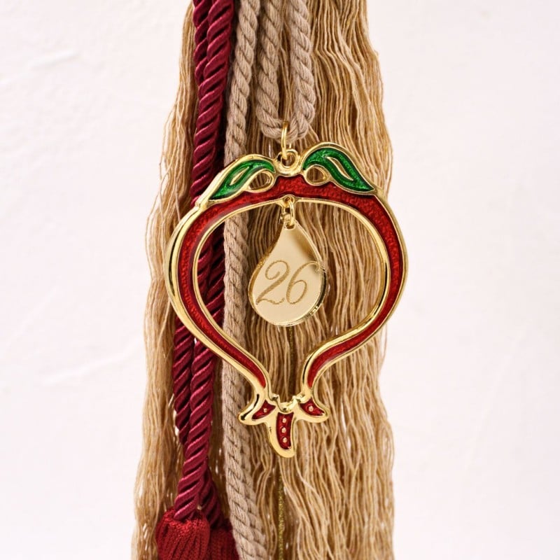 Χειροποίητο Γούρι 2026 - Χριστουγεννιάτικο Ρόδι από Σμάλτο Χειροποίητο Γούρι 2026 με Χριστουγεννιάτικο Επίχρυσο Ρόδι από σμάλτο