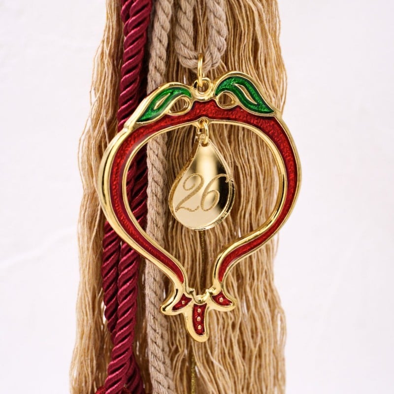 Χειροποίητο Γούρι 2026 - Χριστουγεννιάτικο Ρόδι από Σμάλτο Χειροποίητο Γούρι 2026 με Χριστουγεννιάτικο Επίχρυσο Ρόδι από σμάλτο