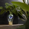 Decorative Lightbulb Table Lamp: Alien Decorative Lightbulb Table Lamp: Alien