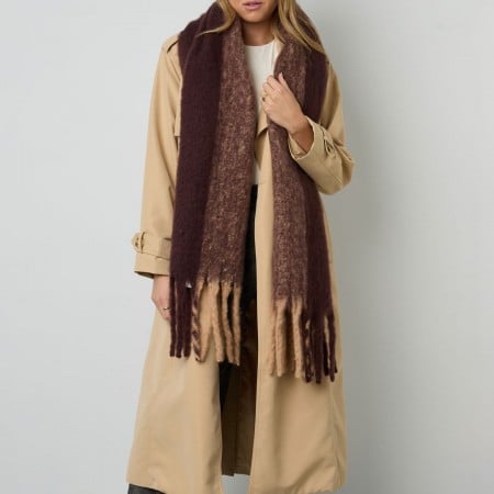 Two-Tone Scarf with Fringes