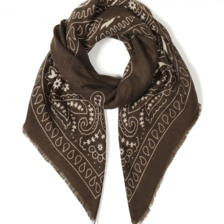Large Paisley Scarf | Brown Large Paisley Scarf | Brown