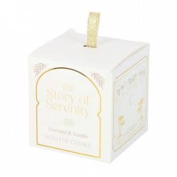 Αρωματικό Κερί Coconut & Vanilla σε Γυάλινο Δοχείο με Κουτί